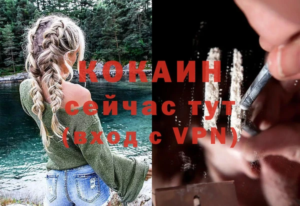 твердый Верея