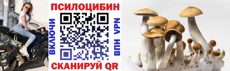 blacksprut как зайти  Емва  Галлюциногенные грибы Psilocybine cubensis 